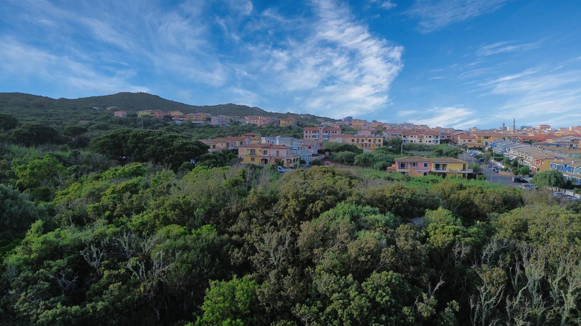 Case Vacanze A Santa Teresa Di Gallura Экстерьер фото